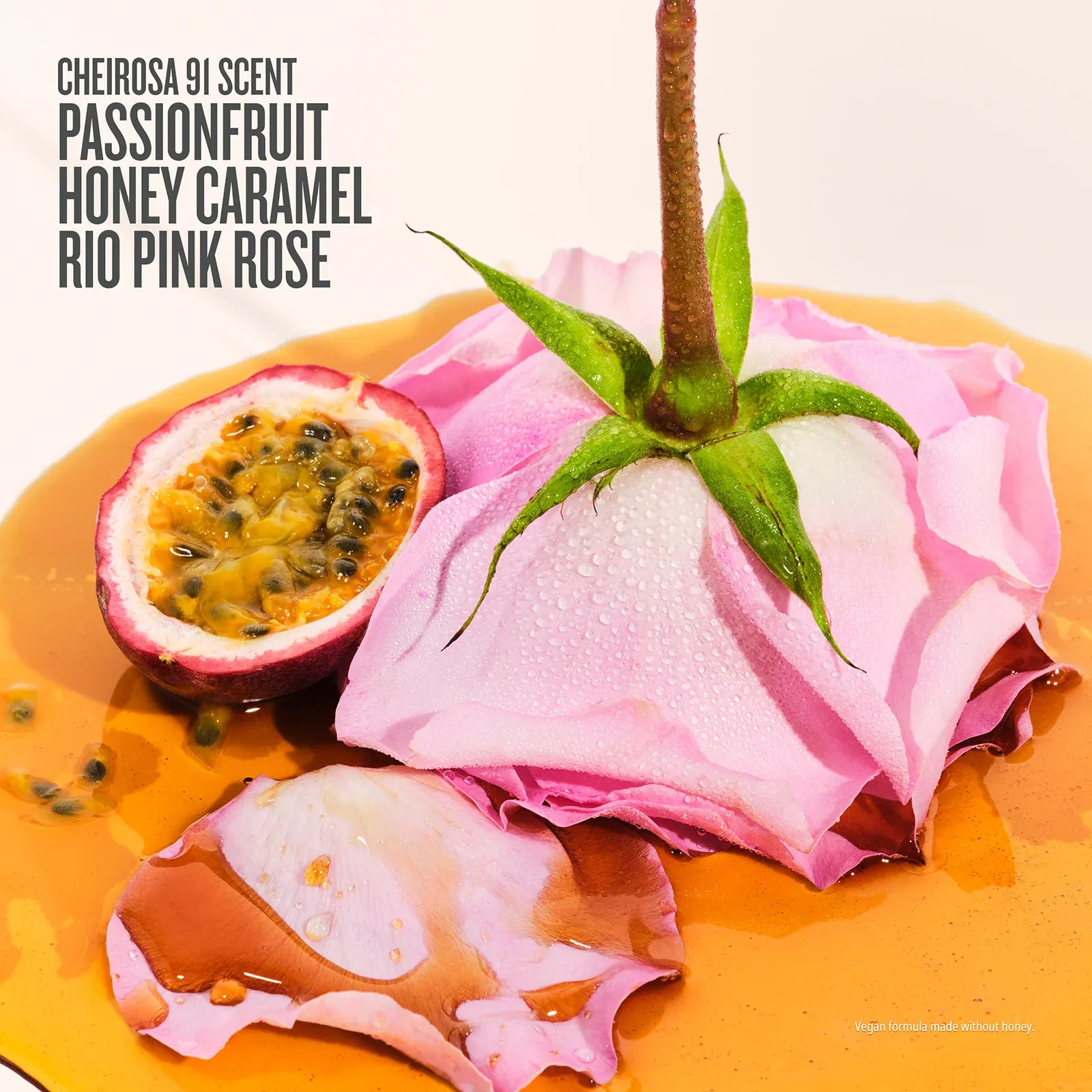 Rosa Charmosa? Duo | Online Exclusive - Image 6