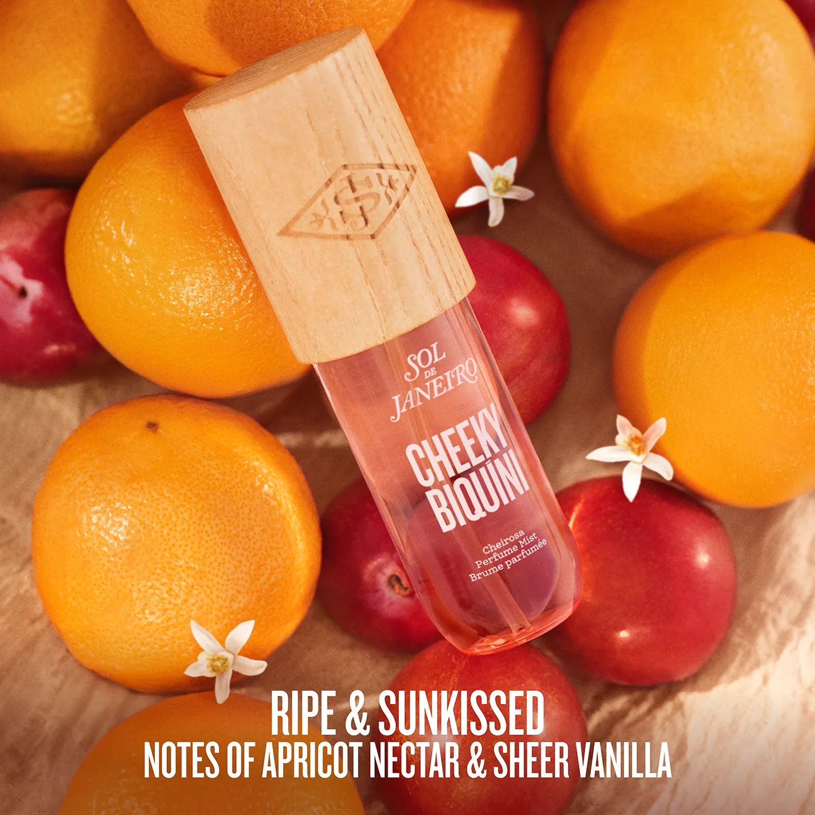 The Destination Drop | Limited Edition Perfume Mist - Image 4